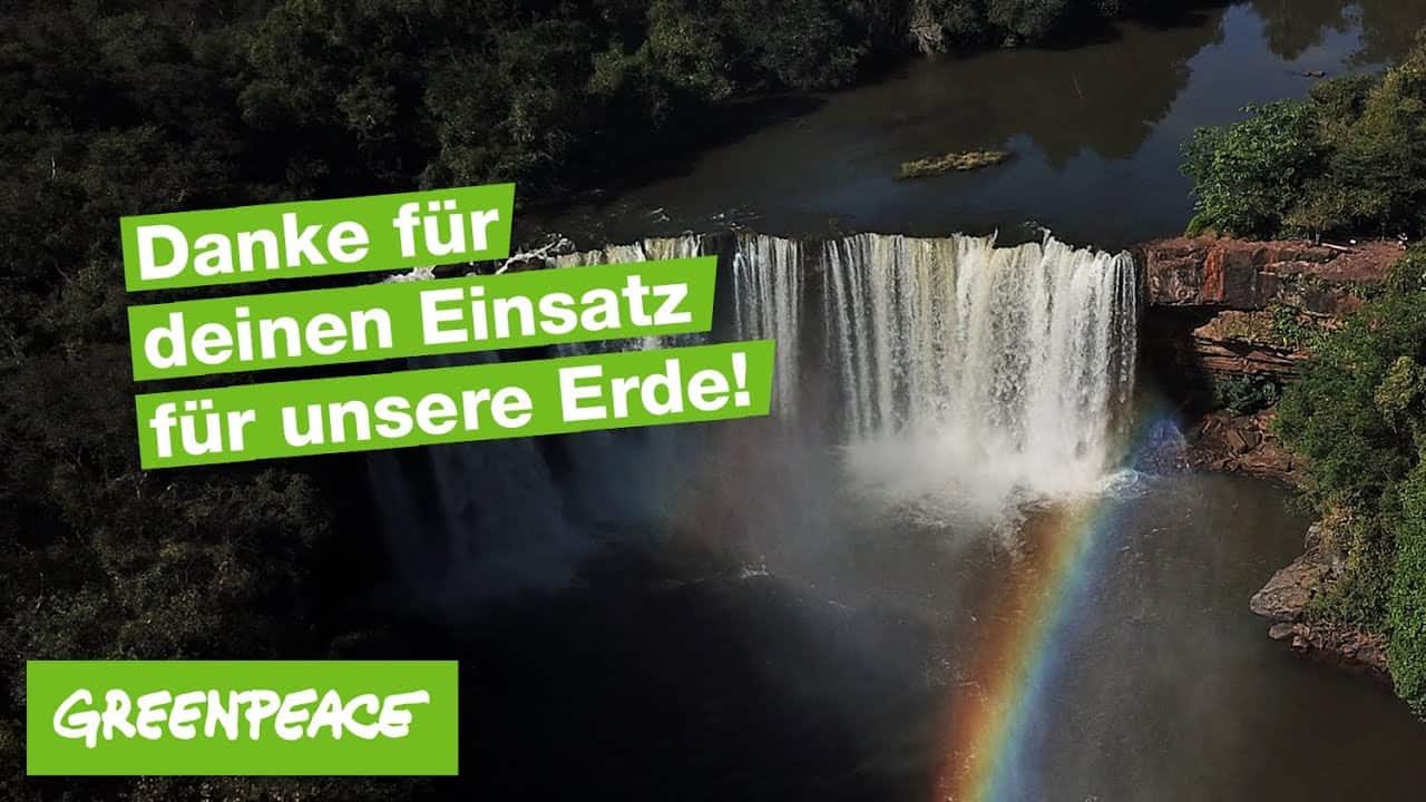 Ende des Jahres 2022 Danke für deinen Einsatz Greenpeace