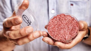 καθαρό κρέας - τεχνητό κρέας