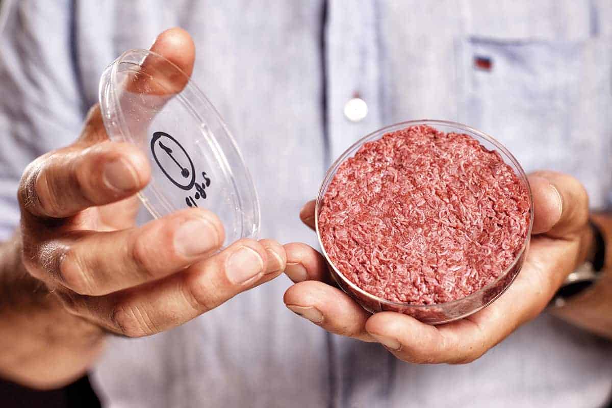 clean meat - künstliches Fleisch