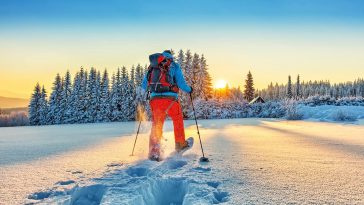 گزینه های سازگار با محیط زیست برای اسکی