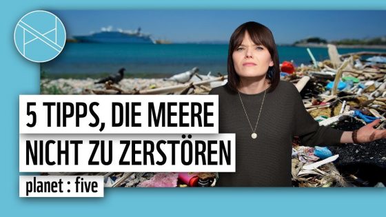 5 Tipps, die Meere NICHT zu zerstören | WWF Deutschland | WWF Deutschland