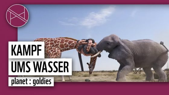 Elefant vs. Giraffe – Wer wird den Kampf ums Wasser gewinnen? | planet : goldies | planet : panda | WWF Deutschland