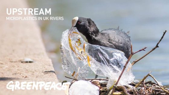 Upstream: Mikroplastik in britischen Flüssen
