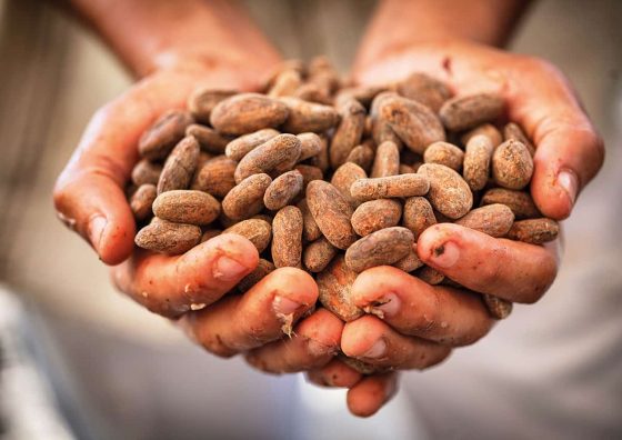 Warum Fairtrade-Schokolade?