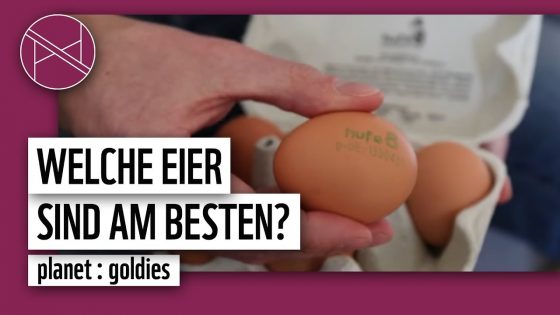 Welche Eier kaufen? Sind Bio-Eier wirklich besser? | planet : goldies | planet : panda | WWF Deutschland