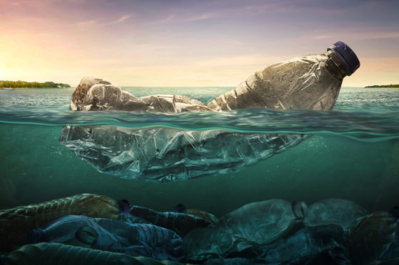 Tierschutz: Wie kommt das Plastik ins Meer?