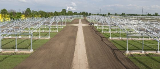 Mehr als ein Blick in die Glaskugel: Klimaexperiment in Sachsen-Anhalt