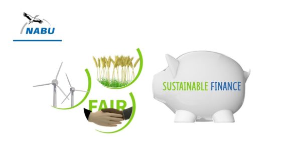 Was ist Sustainable Finance? | Naturschutzbund Deutschland