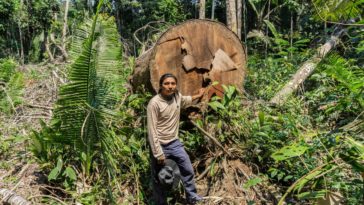 Landraub: Indigene Völker verklagen Brasilien