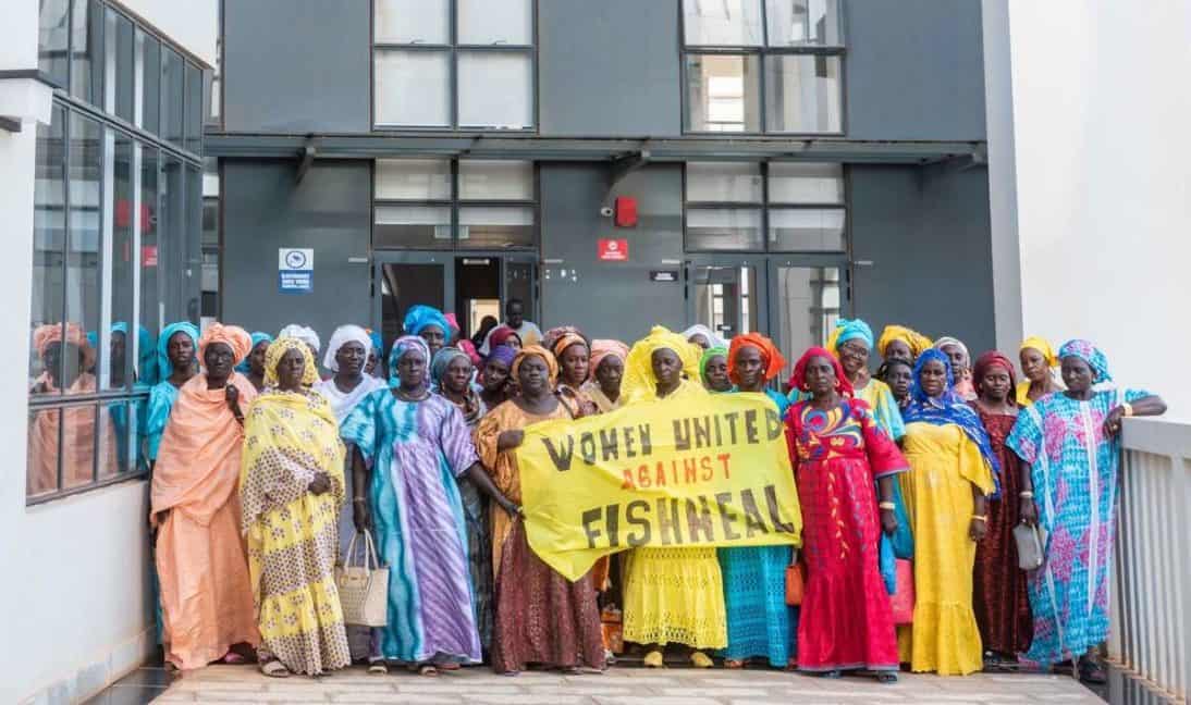 Fischmehl- und Fischölimporte von Westafrika nach Europa enthüllen ein kaputtes Lebensmittelsystem | Greenpeace int.