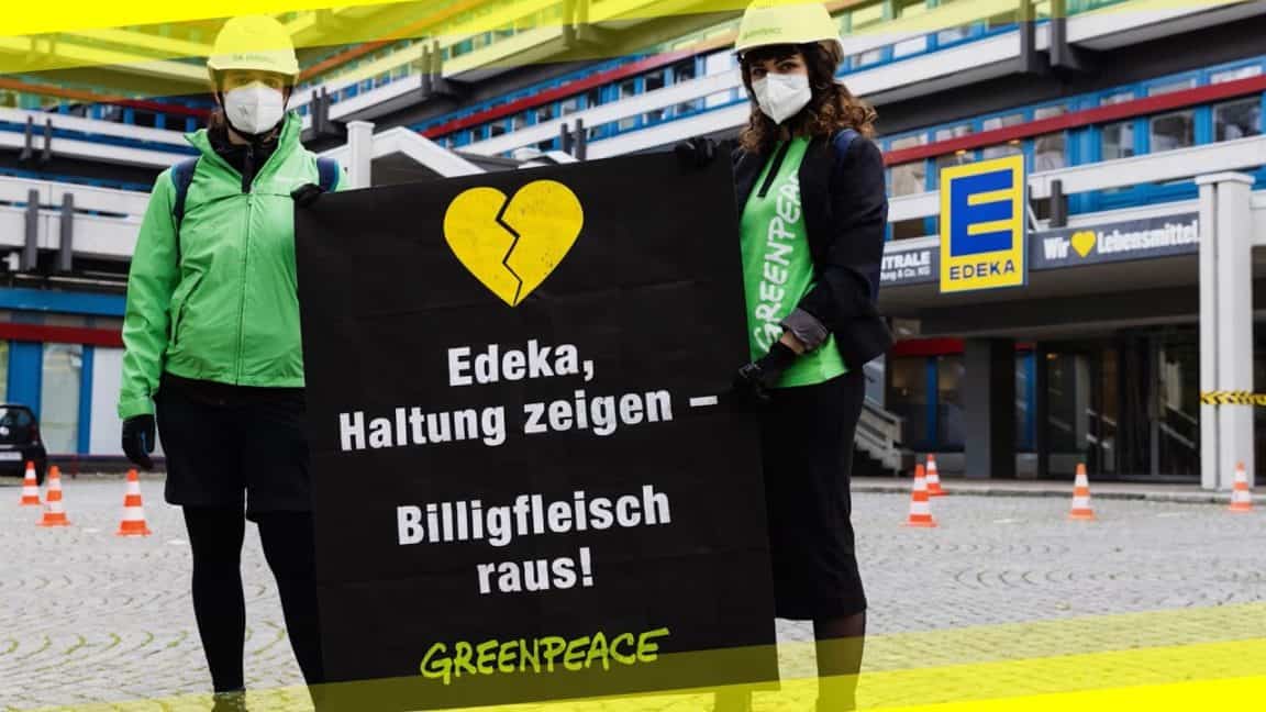 Greenpeace Aktive steigen Edeka aufs Dach | Greenpeace Deutschland