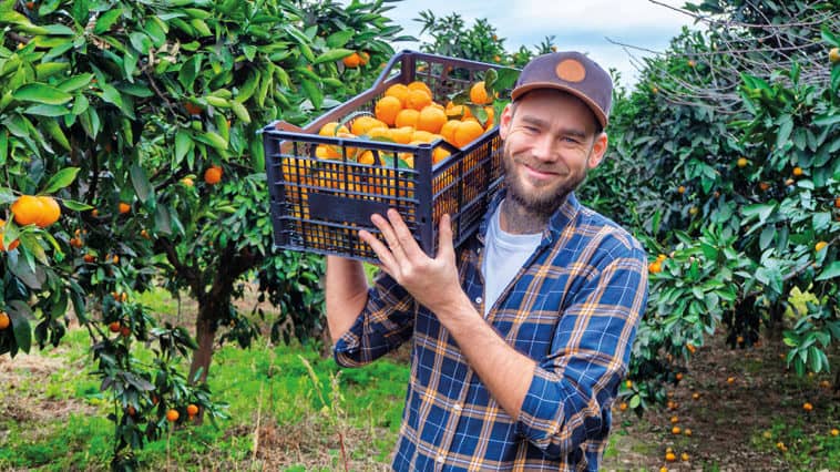 Crowdfarming: ما مدى جودة البديل