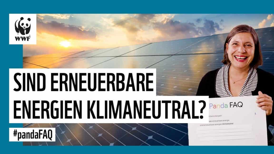 Sind Erneuerbare Energien klimaneutral? Autocomplete Challenge mit Klima&Energie-Expertin #pandaFAQ | WWF Deutschland