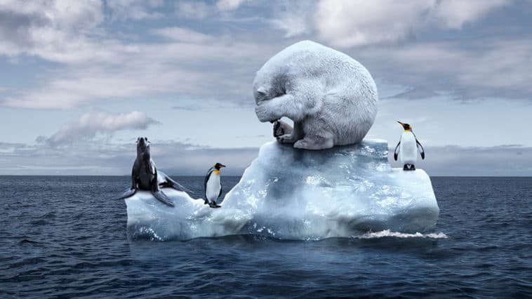 Klimawandel vor Gericht