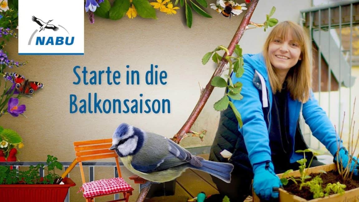 Unsere Tipps für den Start in die Balkonsaison | Naturschutzbund Deutschland