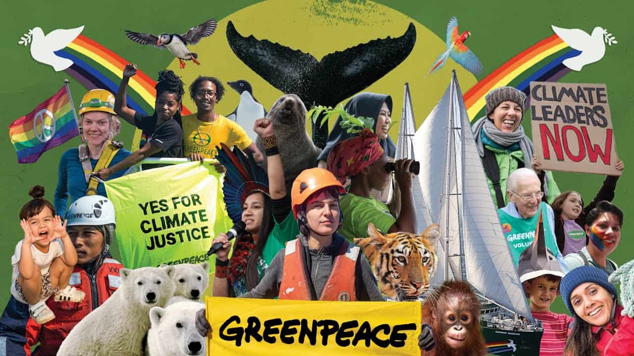 Visión De Greenpeace 2023: El Mundo Que Todos Queremos Ver | Greenpeace ...