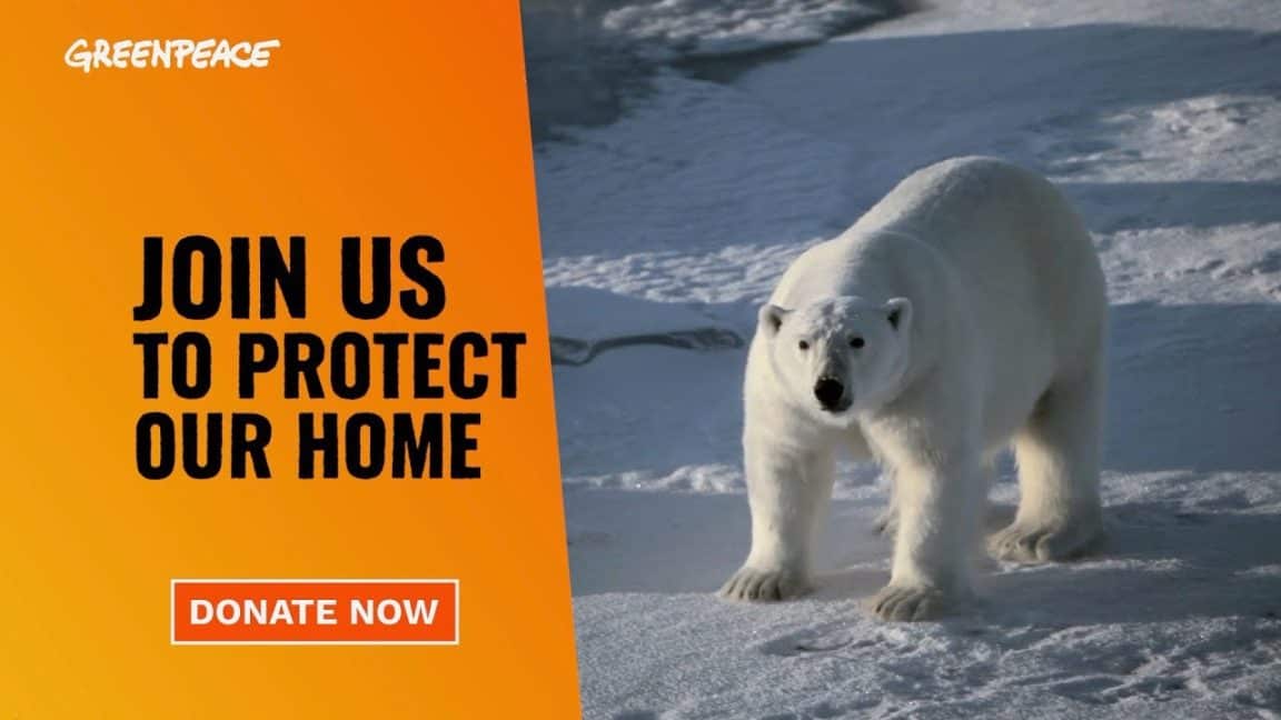 Kämpfe für unser Zuhause |  Greenpeace USA