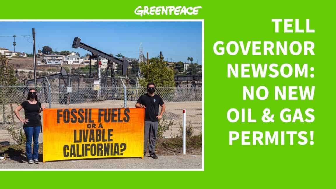 Sagen Sie Gouverneur Newsom: Keine neuen Öl- und Gasgenehmigungen!  |  Greenpeace USA