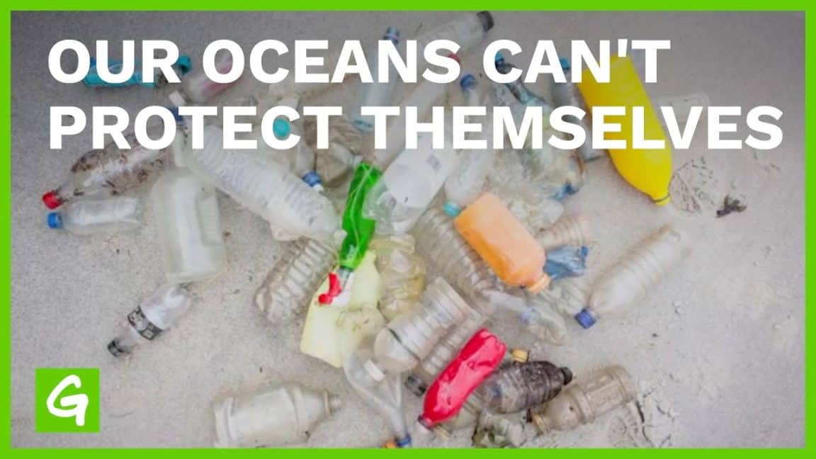 Unsere Ozeane können sich nicht selbst schützen – sie brauchen uns |  Greenpeace USA