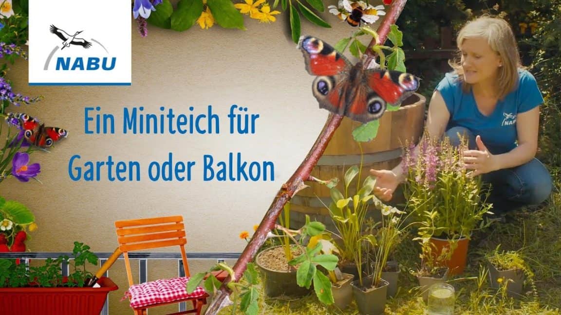 So legt ihr einen Miniteich für Garten oder Balkon an | Naturschutzbund Deutschland