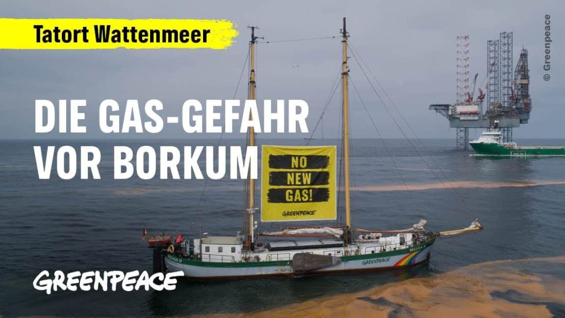 Wattenmeer in Gefahr: Greenpeace deckt auf | Greenpeace Deutschland