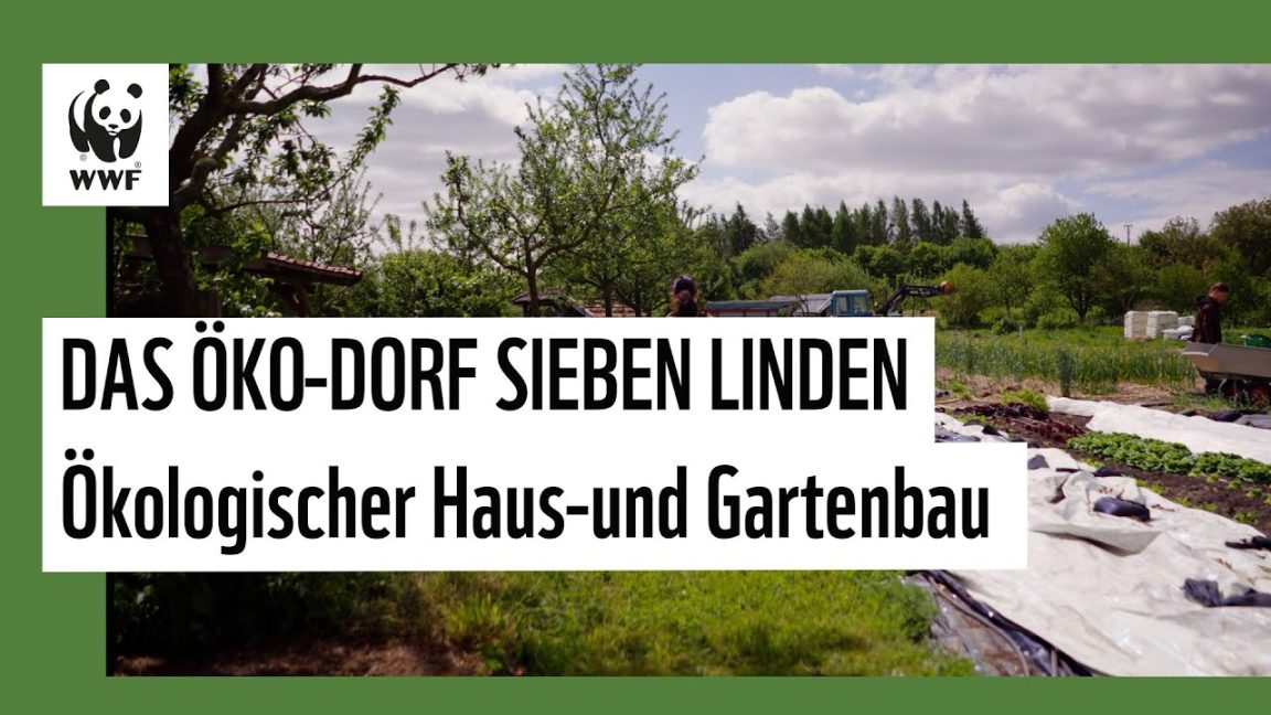 Das Ökodorf Sieben Linden – ökologischer Haus- und Gartenbau | WWF Deutschland